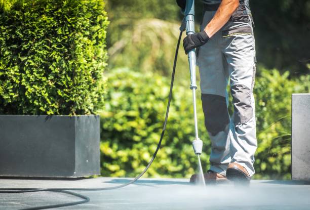 Animal Enclosure Cleaning in Salem, AR
