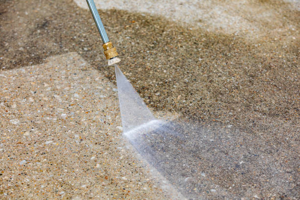 Best Dumpster Area Cleaning  in Salem, AR
