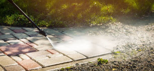 Best Animal Enclosure Cleaning  in Salem, AR